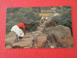 Ireland Co Wicklow Glendalough St. Kevin's Kitchen & Round Tower 1978 - Wicklow