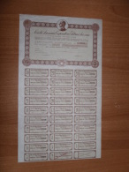 SCRIPOFILIA CERTIFICATO AZIONARIO SOCIETà AZIONARIA COOPERATIVA ELETTRICA ARIZZANO INTRA - Elettricità & Gas