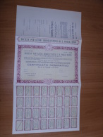 SCRIPOFILIA CERTIFICATO AZIONARIO SOCIETà PER AZIONI IDROELETTRICA DI S.PAOLO CERVO 1922 - Elektrizität & Gas