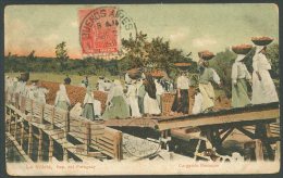 PARAGUAY LA VILLETA Carrying Oranges Postcard - Paraguay