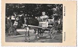 AK NIEDERÖESTERREICH  WALLFAHRTSORT ST.CORONA AM WECHSEL  OLD POSTCARD  1929 - Neunkirchen