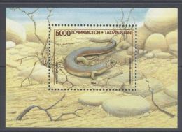 Tajikistan - 1995 Lizards Block MNH__(TH-9820) - Tadschikistan