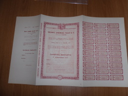 SCRIPOFILIA CERTIFICATO AZIONARIO SOCIETà ANONIMA VALLE & C.TORINO 1935 - Acqua