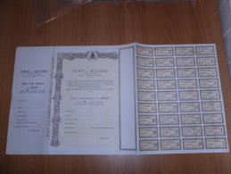 SCRIPOFILIA CERTIFICATO AZIONARIO SOCIETà PER AZIONI FONTI DI BACENO NOVARA 1958 - Water