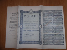 SCRIPOFILIA CERTIFICATO AZIONARIO SOCIETà ANONIMA LIGURE LA SILOLITE GENOVA 1907 - Agua