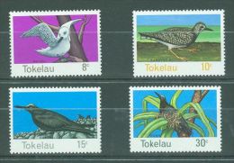 Tokelau - 1977 Birds MNH__(TH-7671) - Tokelau