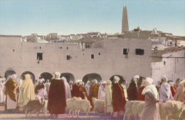 GHARDAIA / MARCHE AUX MOUTONS / EDIT BIBLION 133 - Ghardaia