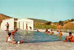 CPSM   LE MUY   Caravaning Résidentiel Des Canebières ,une Piscine - Le Muy