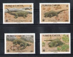 Turks And Caicos - 1986 Iguanas MNH__(TH-5464) - Turks E Caicos