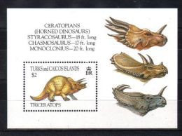 Turks And Caicos - 1993 Triceratops Block MNH__(TH-3910) - Turks And Caicos