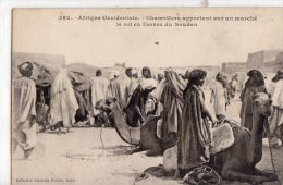 Afrique Noire   Soudan:   Chameliers Apportant Le Sel Au Marché    (Voir Scan ) - Sudán