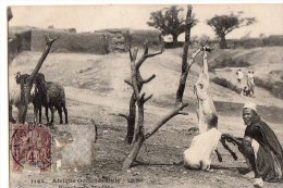 Afrique Noire   Soudan    Boucherie Modèle ??  (Voir Scan ) - Soudan