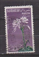 Z3930 - SOMALIA AFIS SASSONE N°29 - Somalië (AFIS)