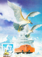 ANTARCTIK EXPLORINGS, SHP, SEAGULLS, CM, MAXICARD, CARTES MAXIMUM, 1987, HUNGARY - Explorateurs