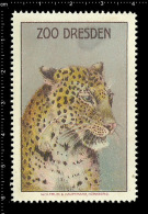 Old Original German Poster Stamp (advertising Cinderella, Reklamemarke, Werbemarke ) Zoo Dresden - Leopard Jaguar Cat - Big Cats (cats Of Prey)