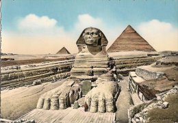 CPA-1955-EGYPTE-GIZEH-LE GRAND SPHINX - TBE - Gizeh