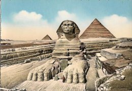 CPA-1955-EGYPTE-GIZEH-LE GRAND SPHINX - TBE - Guiza