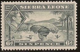 SIERRA LEONE 1938 6d Grey KGVI SG195 M PL02 - Sierra Leone (...-1960)