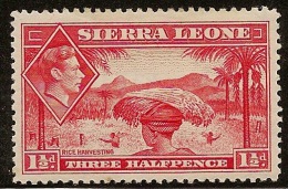 SIERRA LEONE 1938 1 1/2d Scarlet KGVI SG190 M PL00 - Sierra Leona (...-1960)