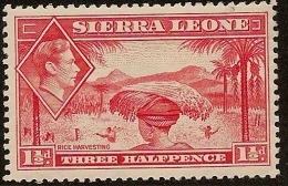 SIERRA LEONE 1938 1 1/2d Scarlet KGVI SG190 M PL01 - Sierra Leone (...-1960)