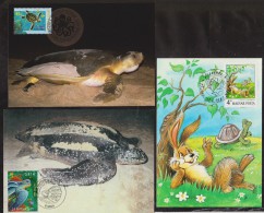 AUSTRALIE+HONGRIE+FRANCE  CARTE  TORTUES  Réf  4501 - Schildkröten