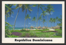 DF / REPUBLIQUE DOMINICAINE / PLAGE ET COCOTIERS - Other & Unclassified