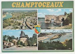 CP CHAMPTOCEAUX, VUE GENERALE, PORTE DU CHATEAU, LE CHAMPALUD, LE CUL DU MOULIN, MAINE ET LOIRE 49 - Champtoceaux