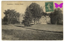 CAUDEBEC - Château Cosse - Caudebec-lès-Elbeuf