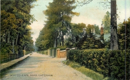 ANGLETERRE - CATERHAM - Whyteleake Road - Surrey