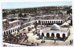 CPSM Photo Ouargla Algérie Oasis Place Du Marché édit CIM N°101 Non écrite Très Bon état - Ouargla