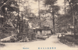 Real Photo - Miyajima - View From Forest Walkway - Hiroshima