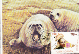 IULIU POPPER, EXPLORER, SEALS, CM, MAXICARD, CARTES MAXIMUM, 1990, ROMANIA - Esploratori