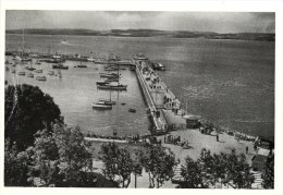 Postcard TORQUAY Devon Mid 1950's Princess Pier Harbour Boats Sea Repro - Torquay