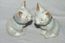 CHATS SALERONS Anciens SEL SALIERE POIVRE CHATS En CERAMIQUE 10 Cms - Andere & Zonder Classificatie