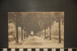 CPA - VICHY - LE PARC - L'ALLEE PRINCIPALE - 13 - C. A. P. - Vichy