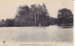 Cp , 49 , SAINT-GEORGES-sur-LOIRE , Château De Serrant , L'Ile - Saint Georges Sur Loire