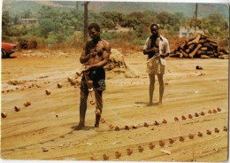 CPM     SIERRA LEONE         FISHERMEN REPAIRING THEIR FISHING NETS     PECHEURS REPARANT LEURS FILETS - Sierra Leone