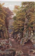 A R QUINTON 1077 - THE FAIRY GLEN, BETTWS-Y-COED - Quinton, AR