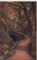 A R QUINTON 1086 - SHANKLIN CHINE - No People - Quinton, AR