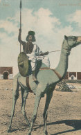 N N 880 / C P A  -C P A    AFRIQUE - COTE DES SOMALI ADEN  CAMEL RIDER - Somalia