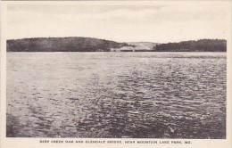 Maryland Mountain Lake Park Deep Creek Dam And Glendale Bridge Albertype - Sonstige & Ohne Zuordnung