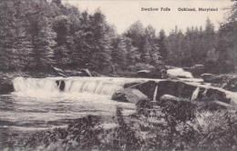 Maryland Oakland Swallow Falls Albertype - Altri & Non Classificati