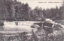 Maryland Oakland Swallow Falls Albertype - Sonstige & Ohne Zuordnung