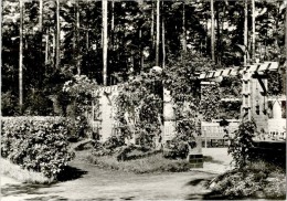 AK Beelitz-Heilstätten, Freilichtbühne, Ung, 1977 - Beelitz