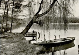 AK Bestensee, Kr, Königs Wusterhausen, Am Pätzer Hintersee, Gel, 1977 - Königs-Wusterhausen