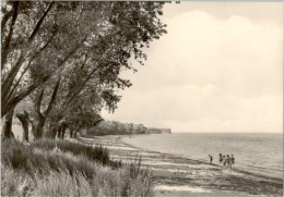 AK Boltenhagen, Strand, Bäume, Ung, 1973 - Boltenhagen