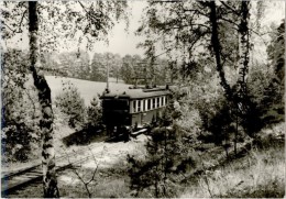 AK Buckow, Waldbahn, 1975 - Buckow
