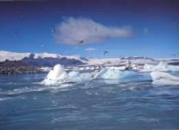 (775) Island - Islande - Iceberg - Iceland