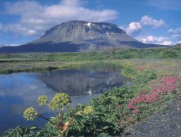(775) Island - Islande - Mountain - IJsland