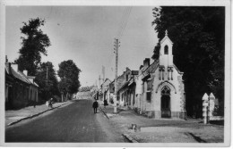 62  SAINT POL SUR TERNOISE  PAS DE CALAIS  - RUE  BETHUNE  -  CPSM  N/B  9x14  BE Carte Glaçée - Saint Pol Sur Ternoise